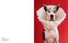 Load image into Gallery viewer, Front Cover
