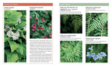 Load image into Gallery viewer, Front Cover