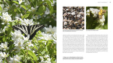 Load image into Gallery viewer, Front Cover