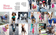 Load image into Gallery viewer, Front Cover