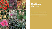 Load image into Gallery viewer, Front Cover
