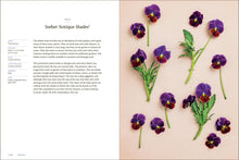 Load image into Gallery viewer, Front Cover