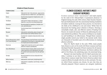 Load image into Gallery viewer, Front Cover