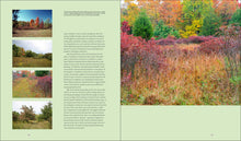 Load image into Gallery viewer, Front Cover