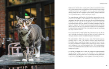 Load image into Gallery viewer, Front Cover