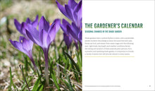 Load image into Gallery viewer, Front Cover