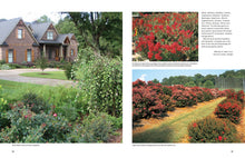 Load image into Gallery viewer, Front Cover