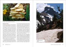 Load image into Gallery viewer, Front Cover