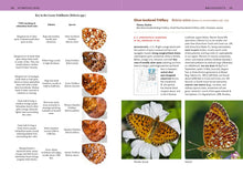 Load image into Gallery viewer, Front Cover