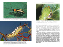 Load image into Gallery viewer, Front Cover