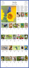 Load image into Gallery viewer, Front Cover