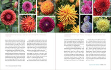 Load image into Gallery viewer, Front Cover