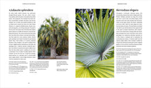 Load image into Gallery viewer, Front Cover