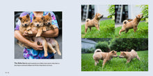 Load image into Gallery viewer, Front Cover