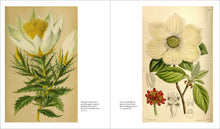Load image into Gallery viewer, Front Cover