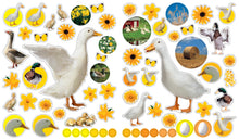 Load image into Gallery viewer, Front Cover
