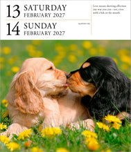 Load image into Gallery viewer, Front Cover