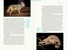 Load image into Gallery viewer, Front Cover
