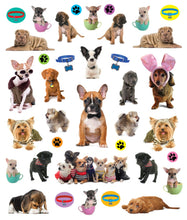 Load image into Gallery viewer, Front Cover