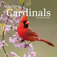 Load image into Gallery viewer, Front Cover