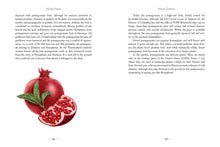 Load image into Gallery viewer, Front Cover