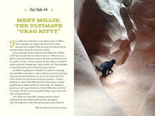 Load image into Gallery viewer, Front Cover