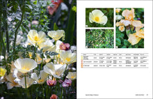 Load image into Gallery viewer, Front Cover