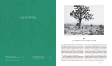 Load image into Gallery viewer, Front Cover