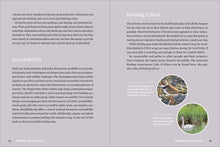 Load image into Gallery viewer, Front Cover