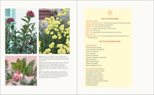 Load image into Gallery viewer, Front Cover