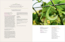 Load image into Gallery viewer, Front Cover