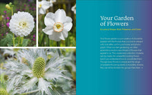 Load image into Gallery viewer, Front Cover