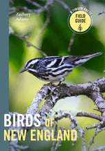 Load image into Gallery viewer, Front Cover