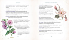 Load image into Gallery viewer, Front Cover