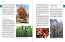 Load image into Gallery viewer, Front Cover