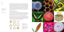 Load image into Gallery viewer, Front Cover