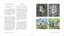 Load image into Gallery viewer, Front Cover