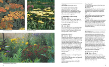 Load image into Gallery viewer, Front Cover
