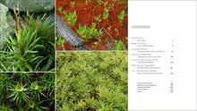 Load image into Gallery viewer, Front Cover