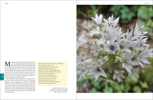 Load image into Gallery viewer, Front Cover