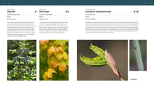Load image into Gallery viewer, Front Cover