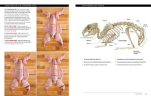 Load image into Gallery viewer, Front Cover