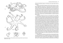 Load image into Gallery viewer, Front Cover