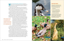 Load image into Gallery viewer, Front Cover