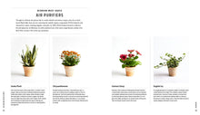 Load image into Gallery viewer, Front Cover