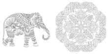 Load image into Gallery viewer, Front Cover