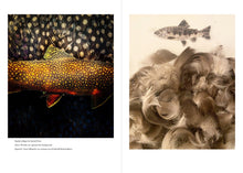 Load image into Gallery viewer, Front Cover