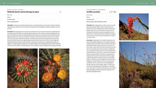 Load image into Gallery viewer, Front Cover