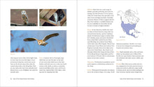 Load image into Gallery viewer, Front Cover