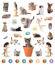 Load image into Gallery viewer, Front Cover
